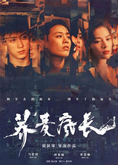 北亚利桑那大学艺术文凭证书
